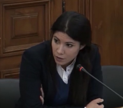 Mariana Mortágua defende redução do IVA da Electricidade